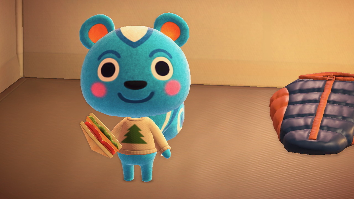 ニンテンドースイッチ あつまれどうぶつの森 キャンプ場 23回目の画像