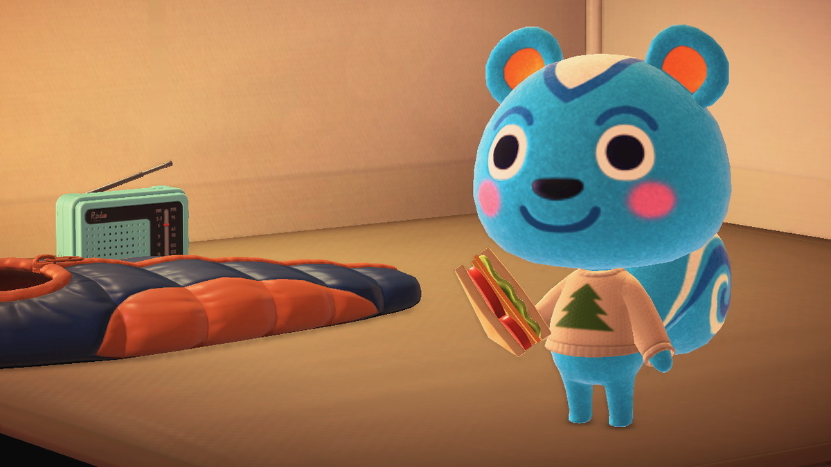 ニンテンドースイッチ あつまれどうぶつの森 キャンプ場 23回目の画像