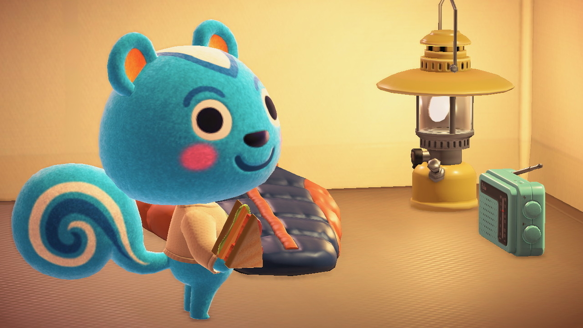 ニンテンドースイッチ あつまれどうぶつの森 キャンプ場 23回目の画像