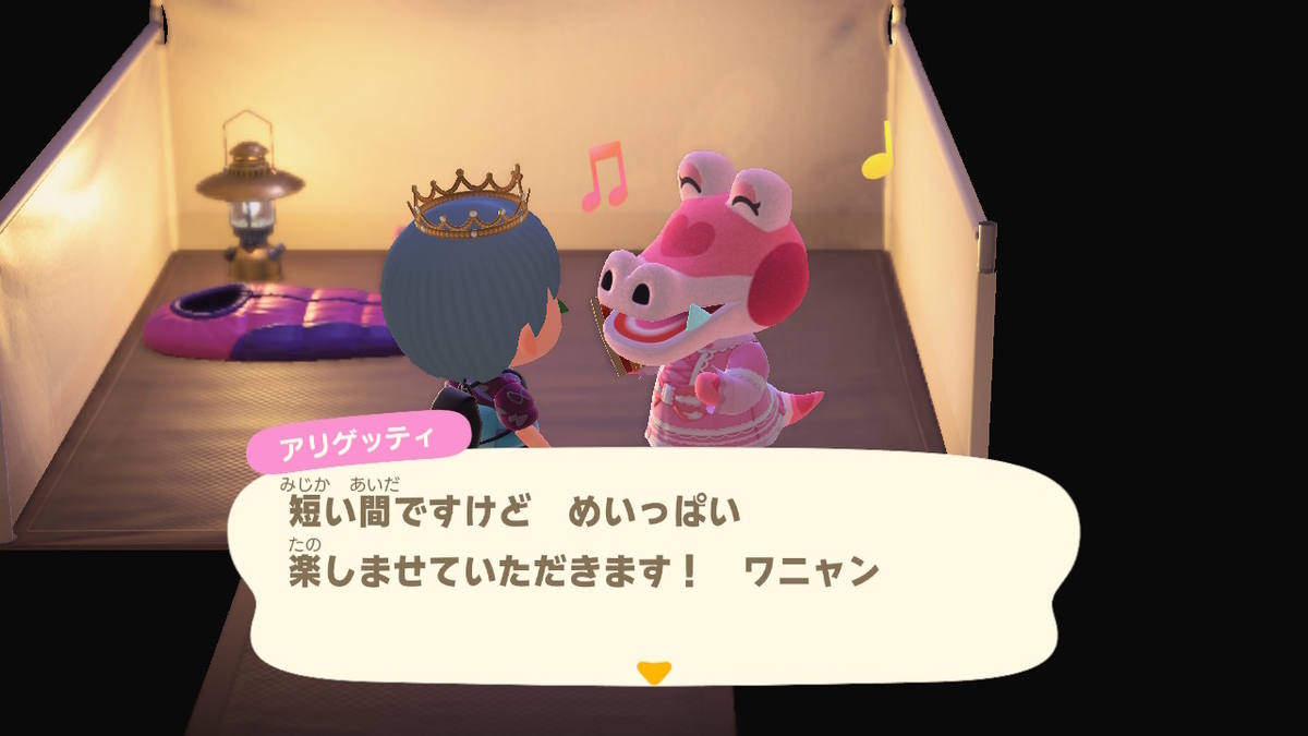 ニンテンドースイッチ あつまれどうぶつの森 キャンプ場 24回目の画像