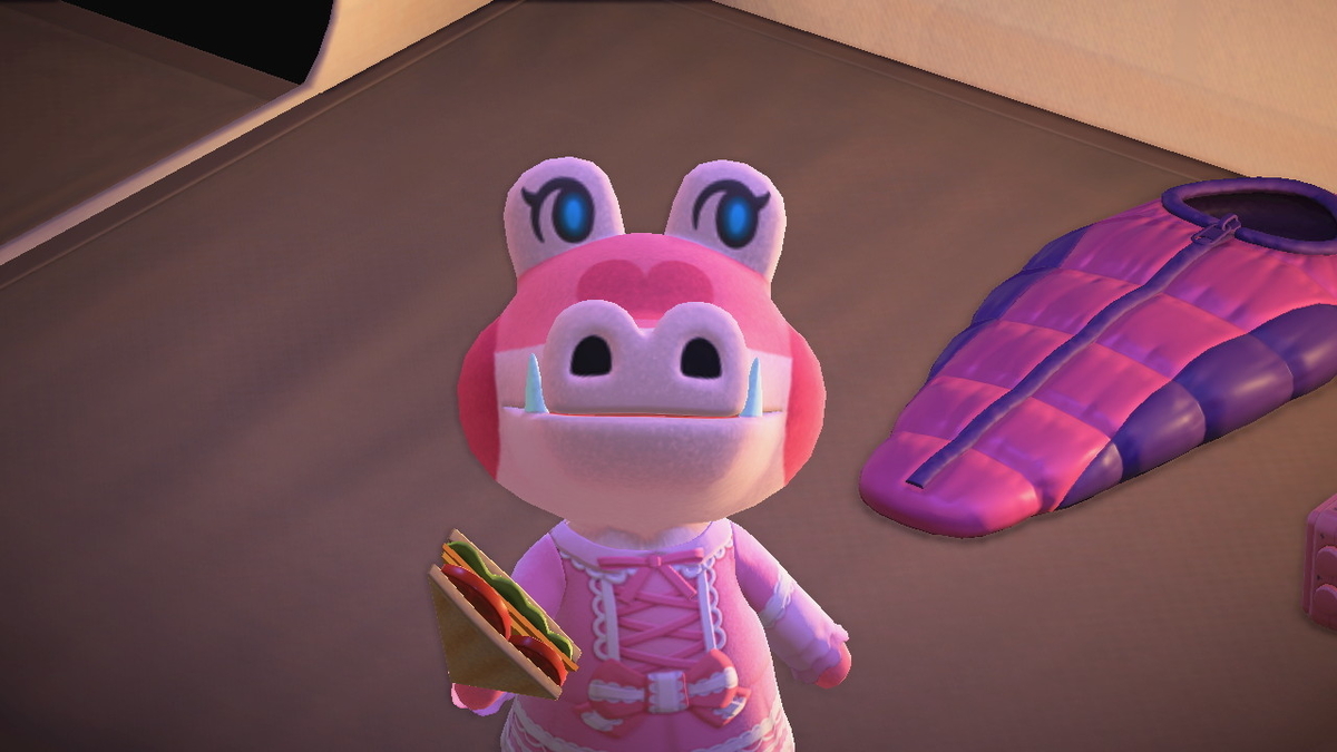 ニンテンドースイッチ あつまれどうぶつの森 キャンプ場 24回目の画像
