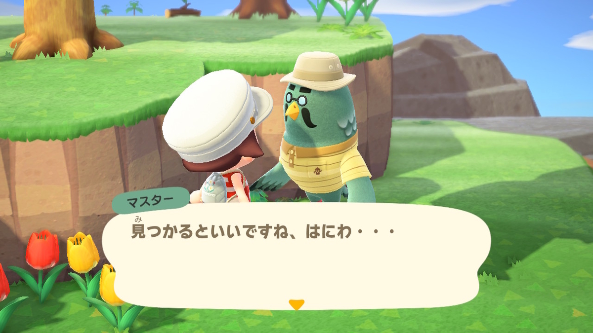 ニンテンドースイッチ あつまれどうぶつの森 かっぺいからのマスターの画像