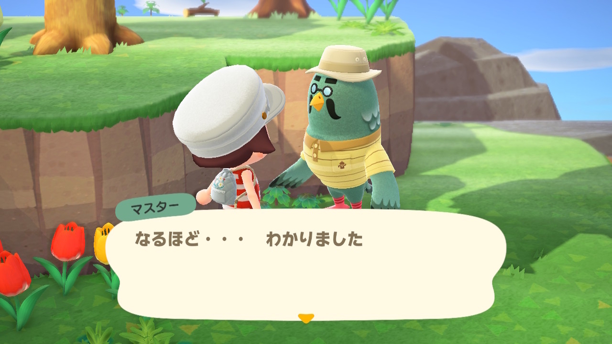 ニンテンドースイッチ あつまれどうぶつの森 かっぺいからのマスターの画像