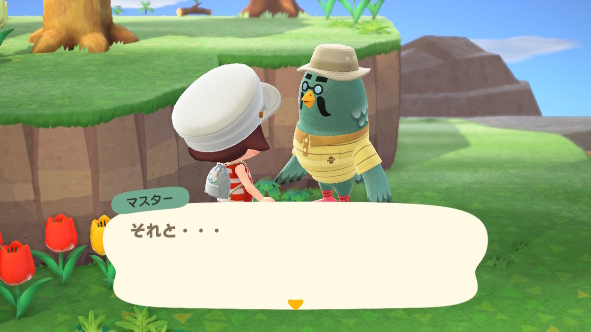 ニンテンドースイッチ あつまれどうぶつの森 かっぺいからのマスターの画像