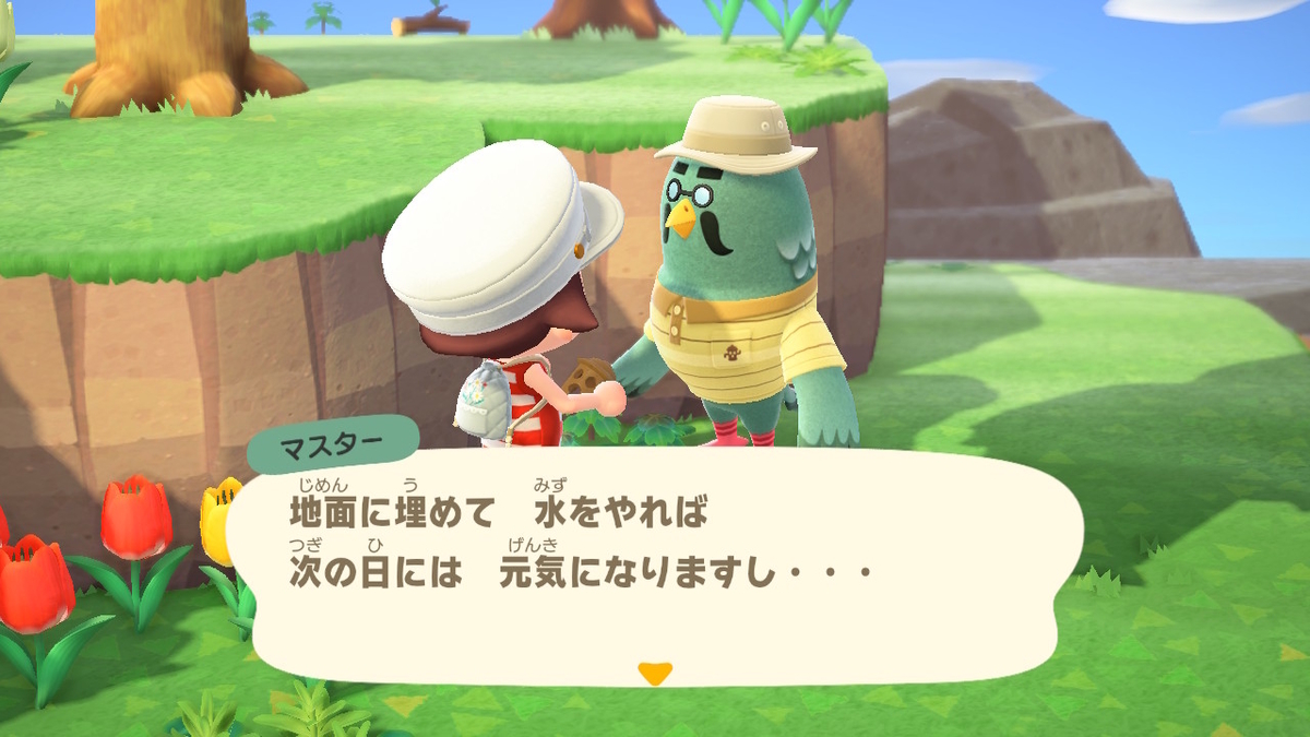 ニンテンドースイッチ あつまれどうぶつの森 かっぺいからのマスターの画像