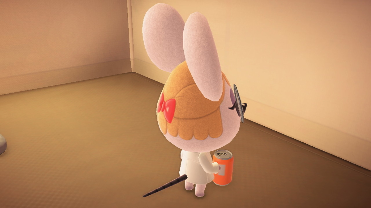 ニンテンドースイッチ あつまれどうぶつの森 キャンプ場 26回目の画像