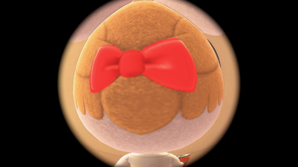 ニンテンドースイッチ あつまれどうぶつの森 キャンプ場 26回目の画像