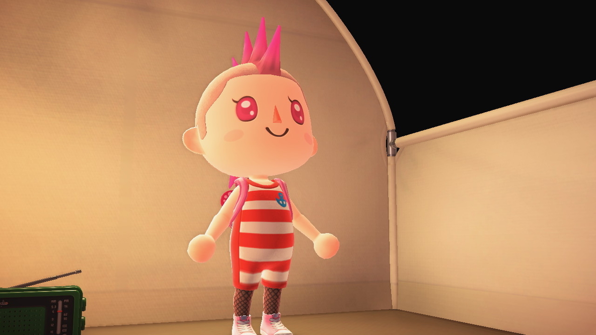 ニンテンドースイッチ あつまれどうぶつの森 キャンプ場 26回目の画像