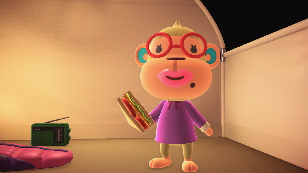 ニンテンドースイッチ あつまれどうぶつの森 キャンプ場 28回目の画像