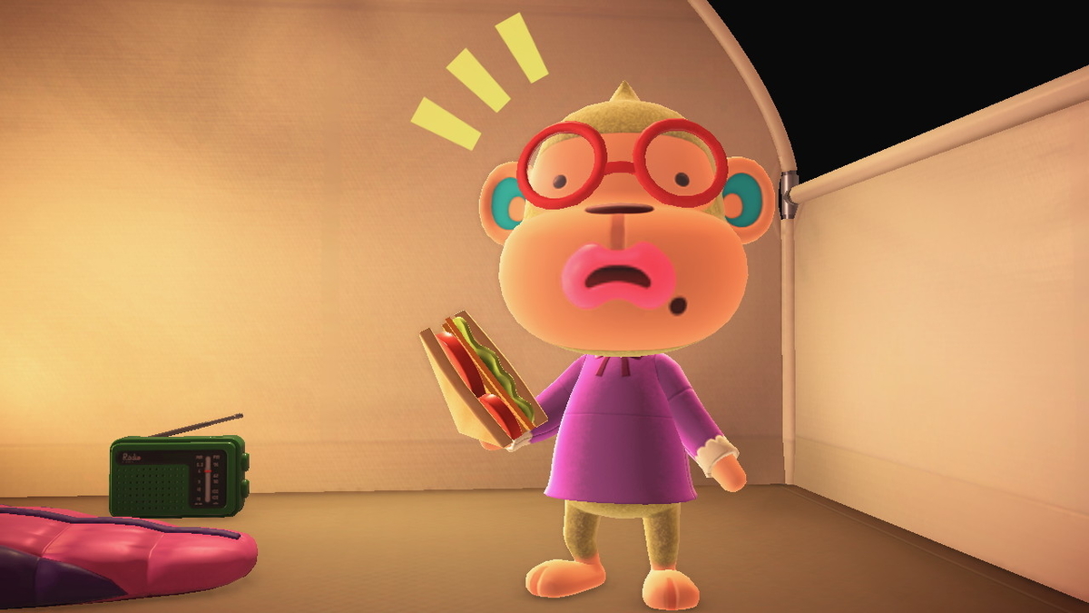 ニンテンドースイッチ あつまれどうぶつの森 キャンプ場 28回目の画像