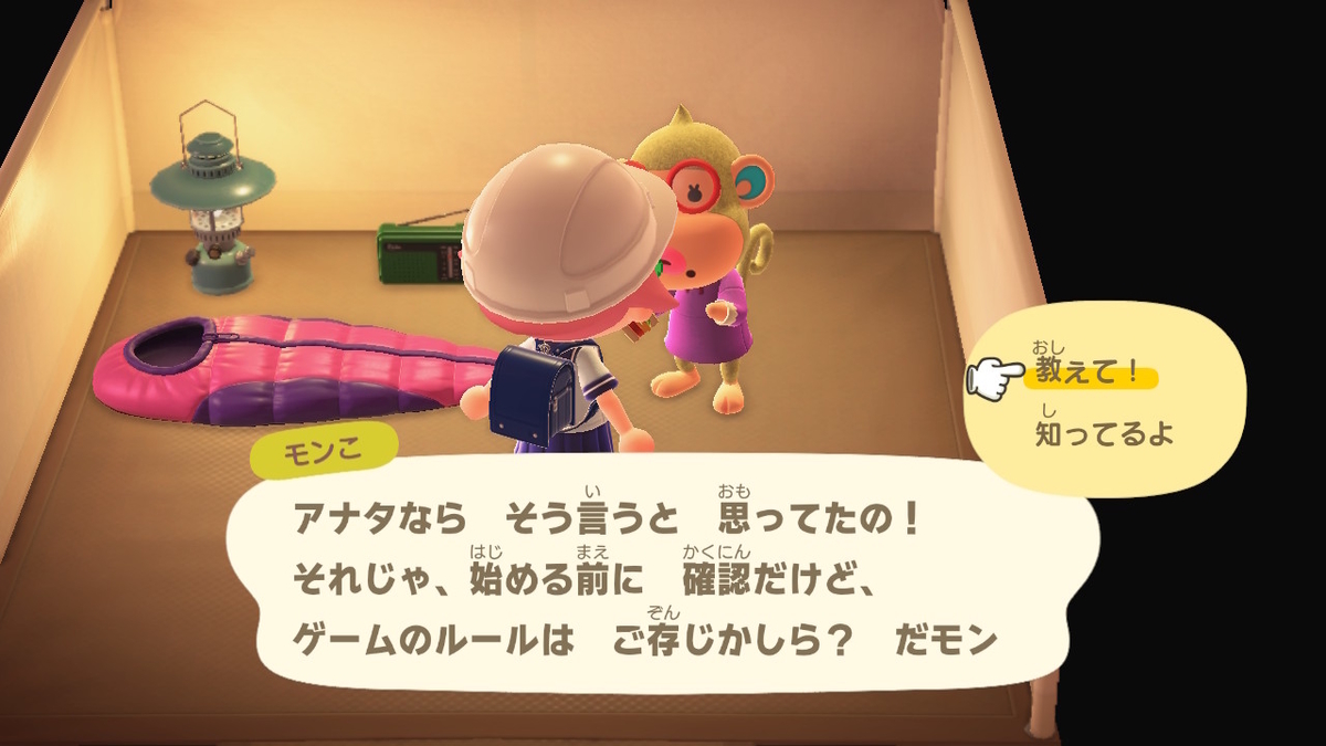 ニンテンドースイッチ あつまれどうぶつの森 キャンプ場 28回目の画像