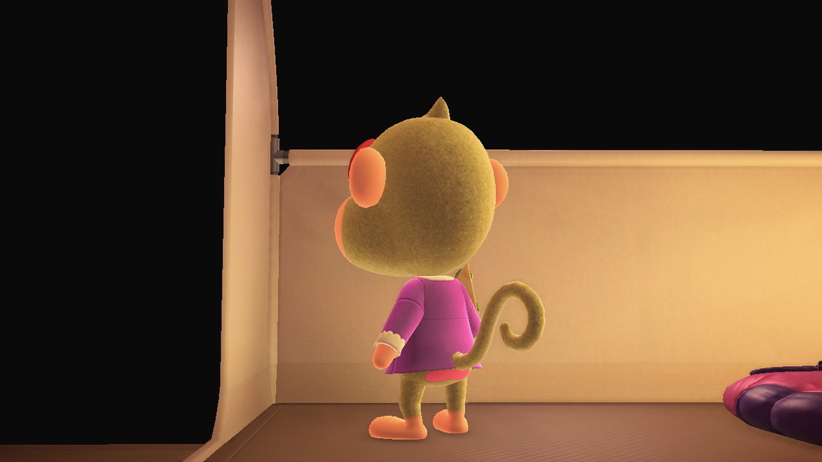 ニンテンドースイッチ あつまれどうぶつの森 キャンプ場 28回目の画像