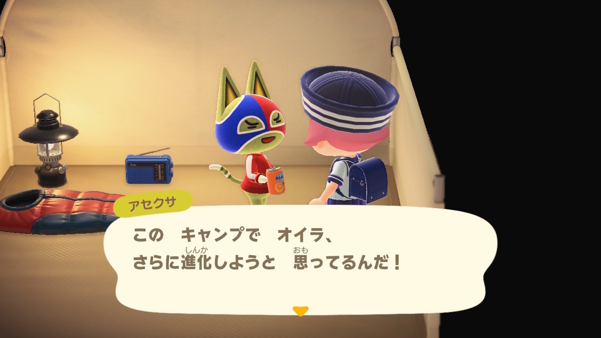 ニンテンドースイッチ あつまれどうぶつの森 キャンプ場 29回目の画像