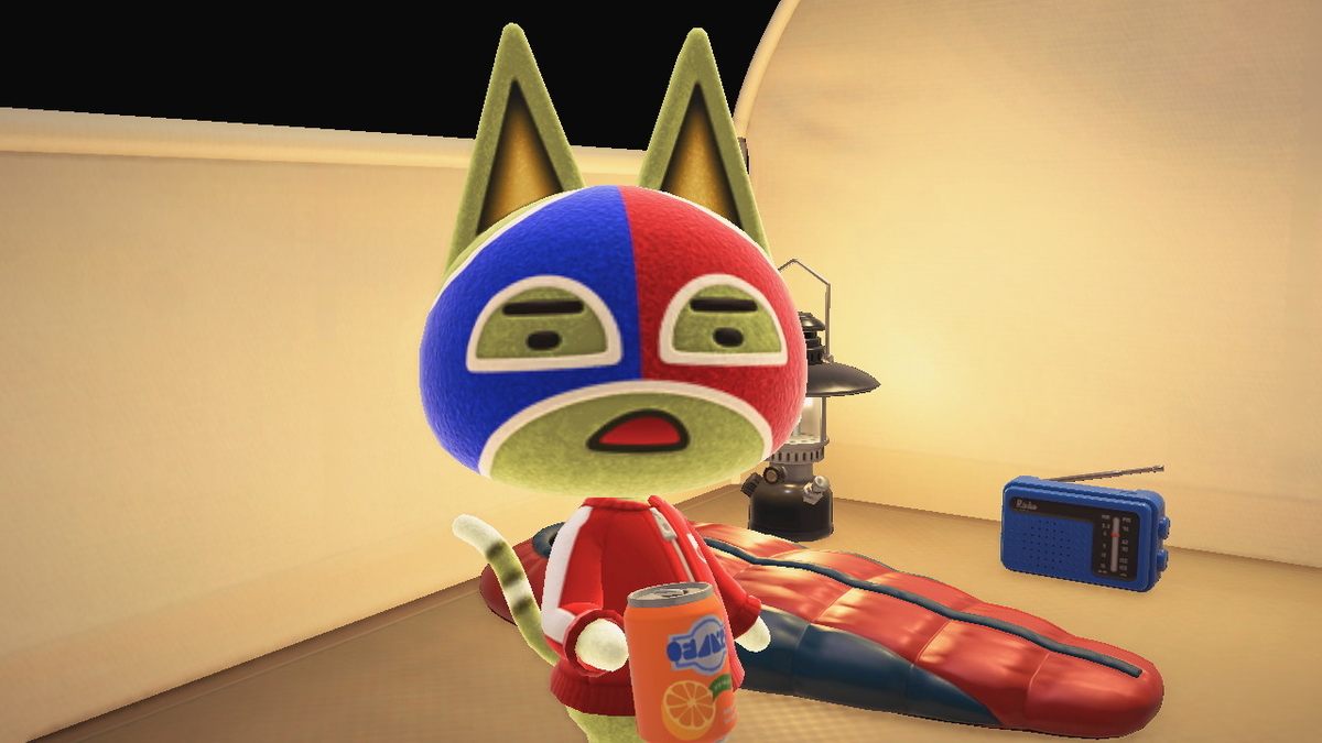 ニンテンドースイッチ あつまれどうぶつの森 キャンプ場 29回目の画像