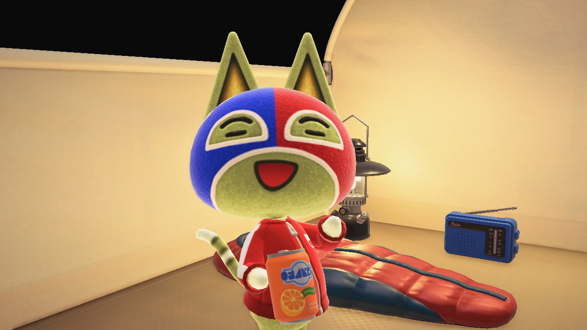ニンテンドースイッチ あつまれどうぶつの森 キャンプ場 29回目の画像