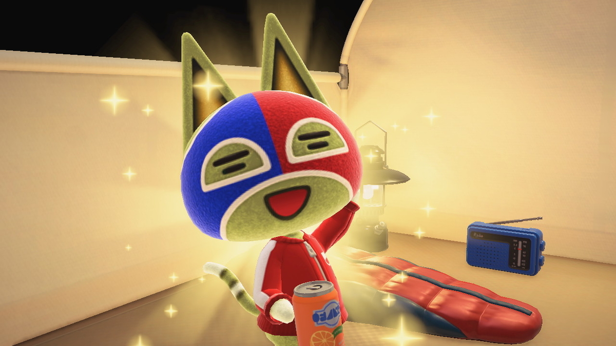 ニンテンドースイッチ あつまれどうぶつの森 キャンプ場 29回目の画像