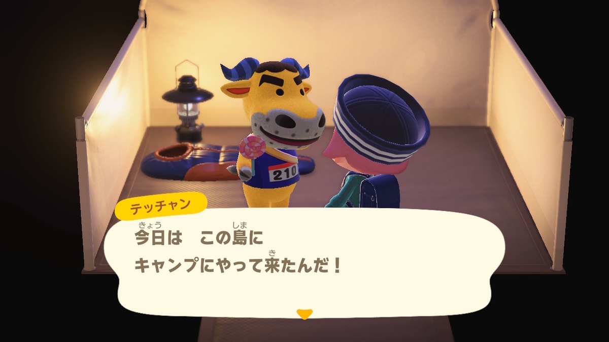 ニンテンドースイッチ あつまれどうぶつの森 キャンプ場 31回目の画像