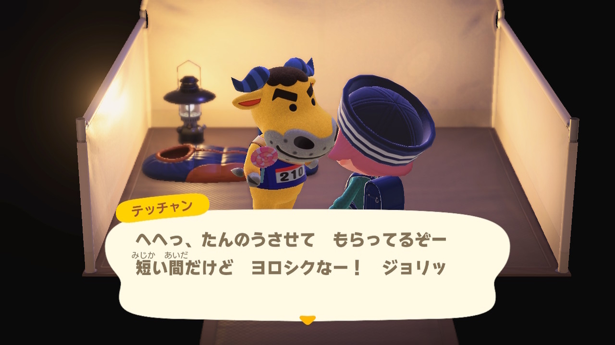 ニンテンドースイッチ あつまれどうぶつの森 キャンプ場 31回目の画像