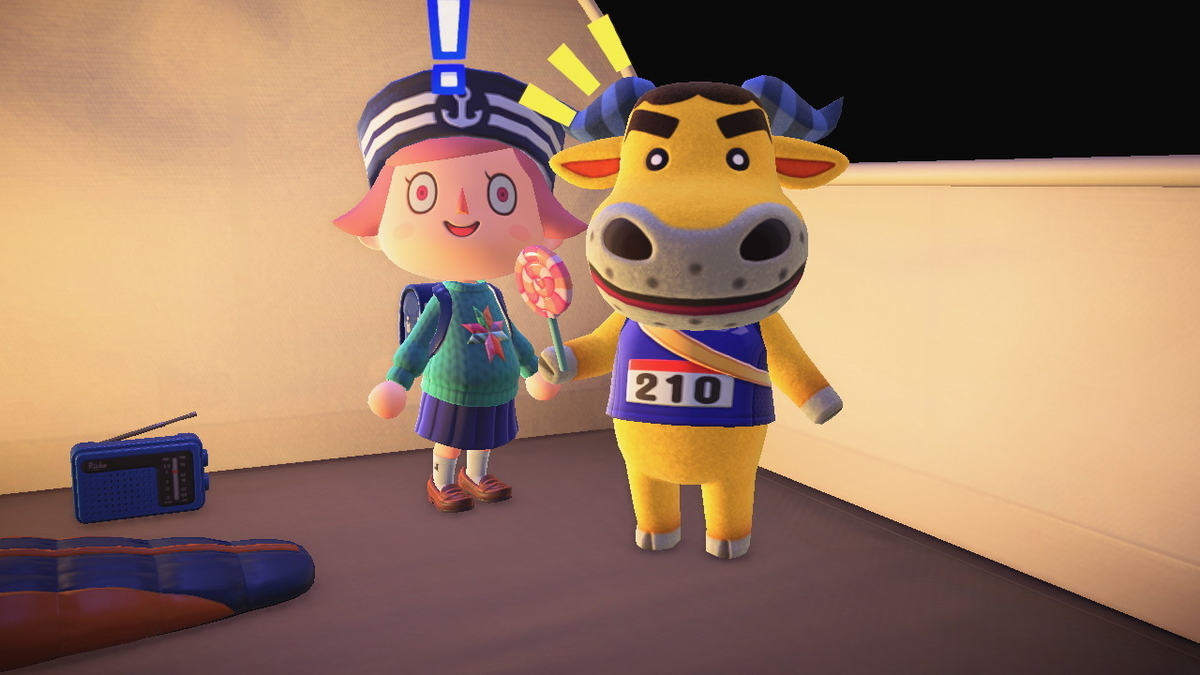 ニンテンドースイッチ あつまれどうぶつの森 キャンプ場 31回目の画像