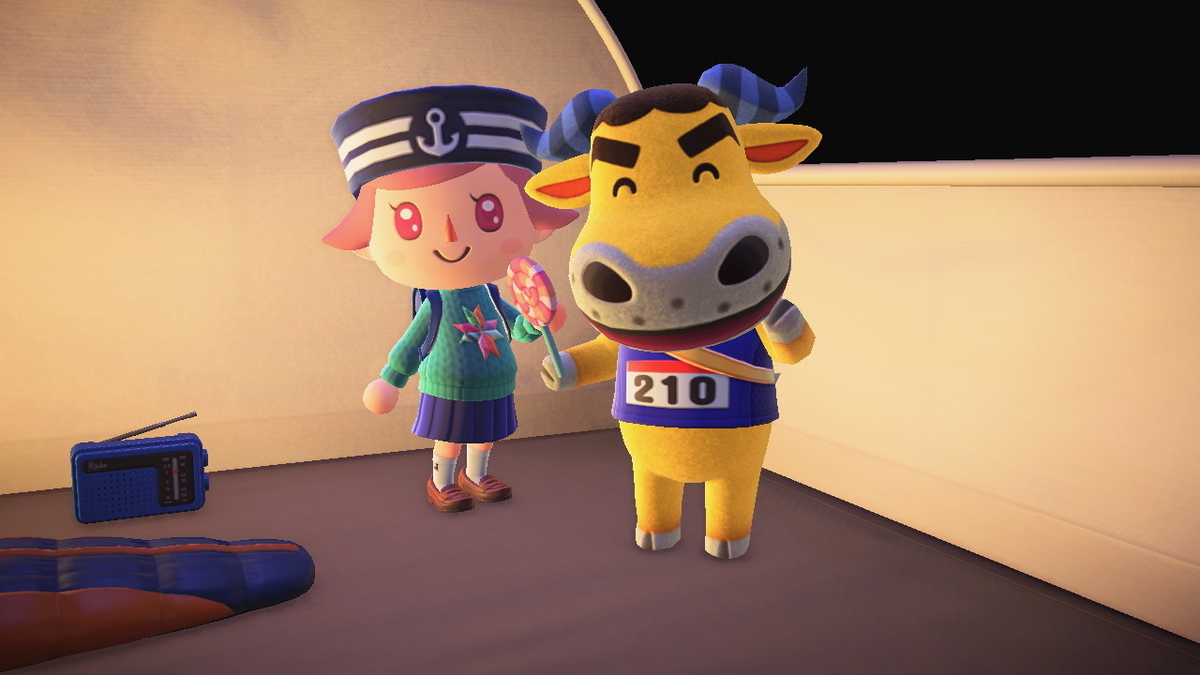 ニンテンドースイッチ あつまれどうぶつの森 キャンプ場 31回目の画像
