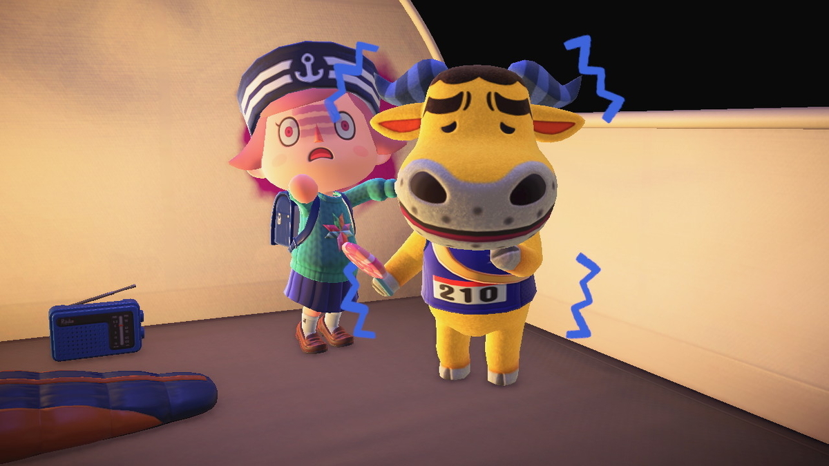 ニンテンドースイッチ あつまれどうぶつの森 キャンプ場 31回目の画像