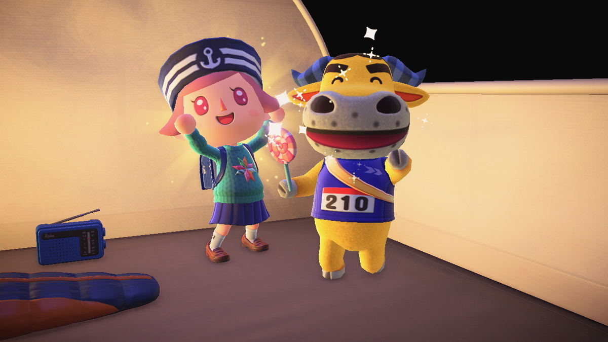 ニンテンドースイッチ あつまれどうぶつの森 キャンプ場 31回目の画像