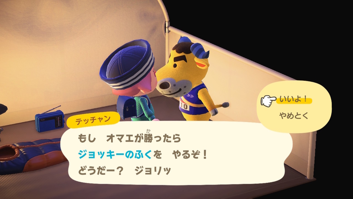 ニンテンドースイッチ あつまれどうぶつの森 キャンプ場 31回目の画像