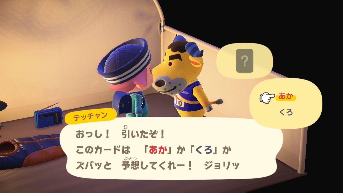 ニンテンドースイッチ あつまれどうぶつの森 キャンプ場 31回目の画像
