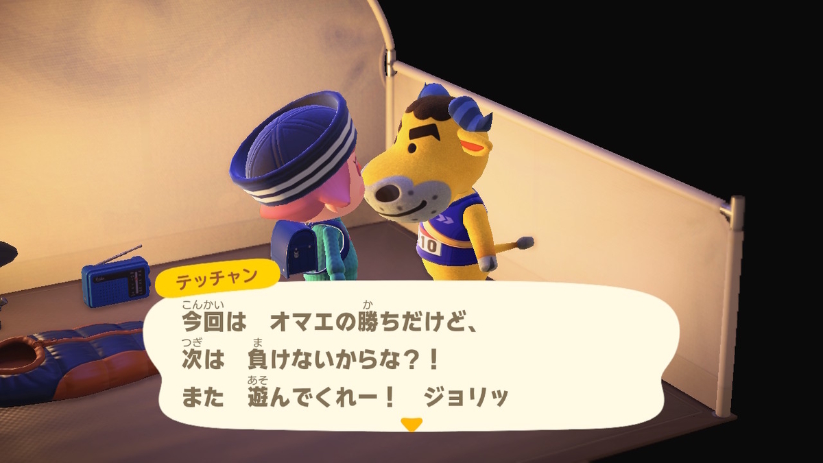 ニンテンドースイッチ あつまれどうぶつの森 キャンプ場 31回目の画像