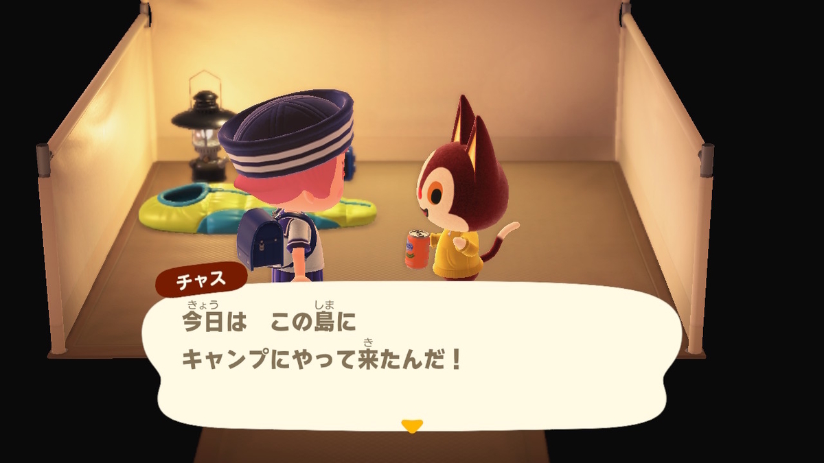 ニンテンドースイッチ あつまれどうぶつの森 キャンプ場 32回目の画像