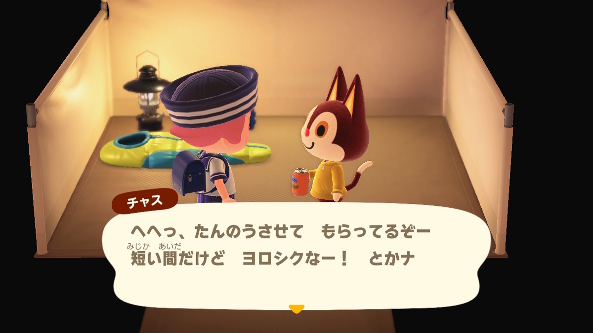 ニンテンドースイッチ あつまれどうぶつの森 キャンプ場 32回目の画像