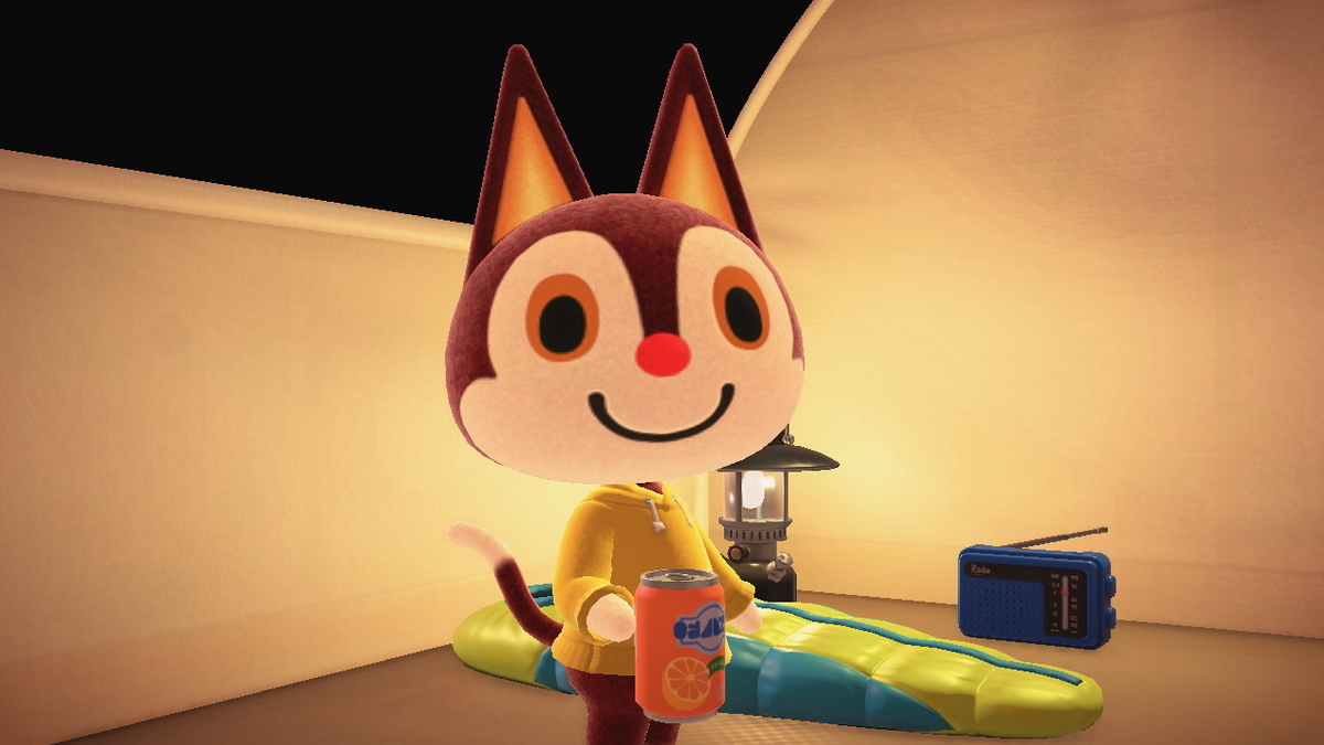 ニンテンドースイッチ あつまれどうぶつの森 キャンプ場 32回目の画像