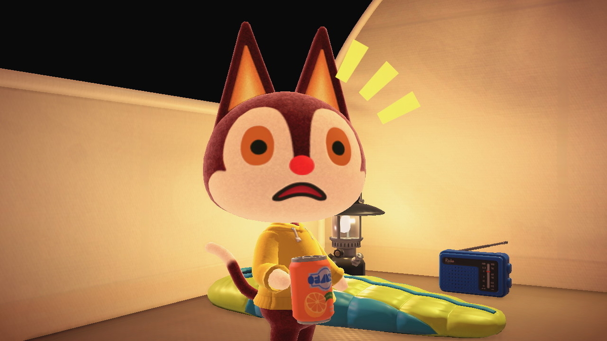 ニンテンドースイッチ あつまれどうぶつの森 キャンプ場 32回目の画像