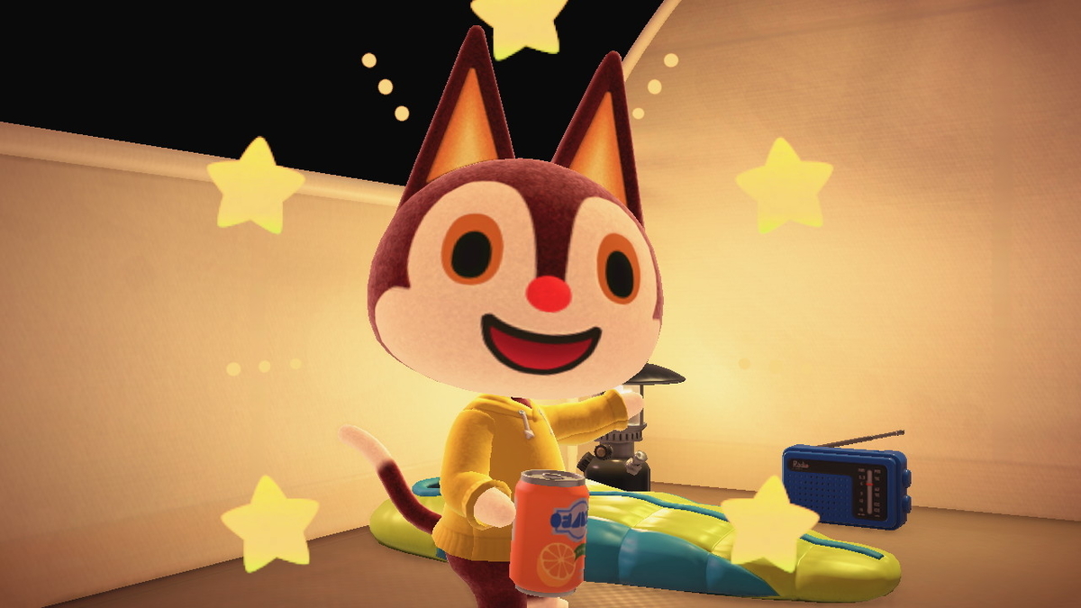 ニンテンドースイッチ あつまれどうぶつの森 キャンプ場 32回目 - ぬー