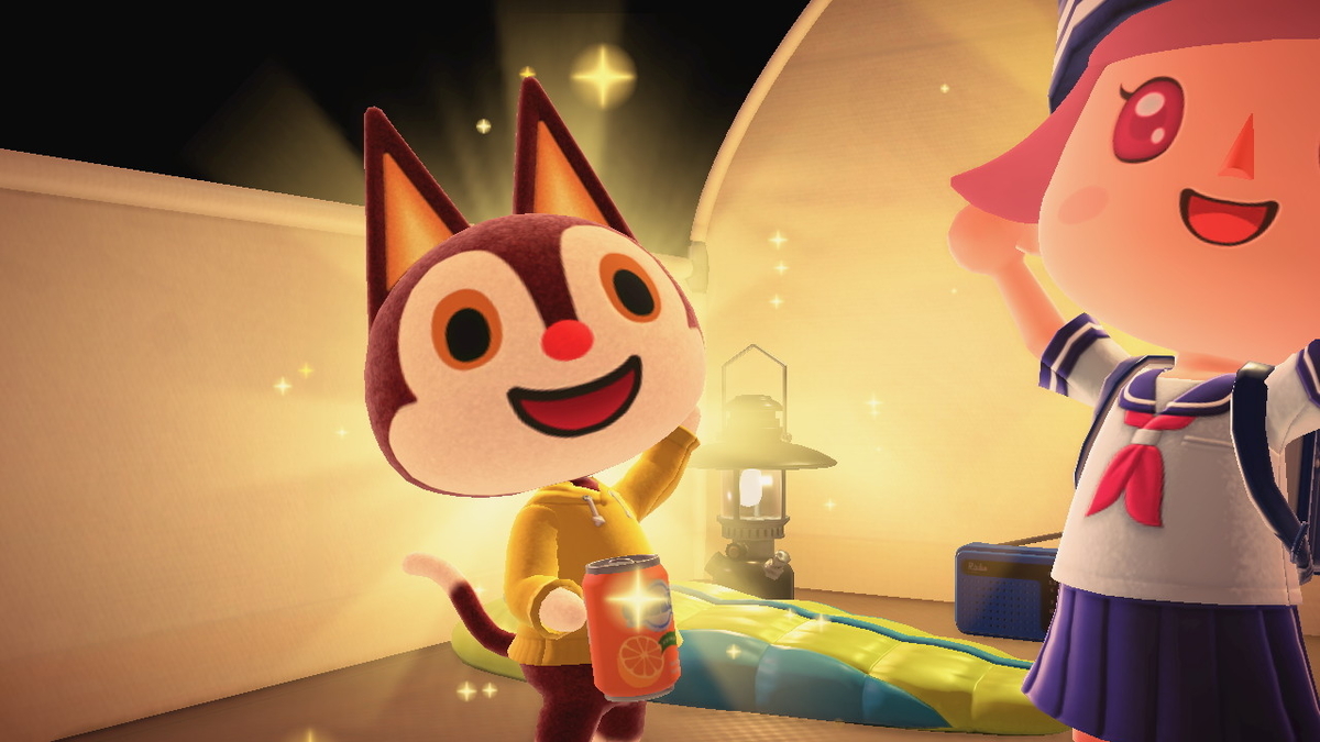 ニンテンドースイッチ あつまれどうぶつの森 キャンプ場 32回目の画像