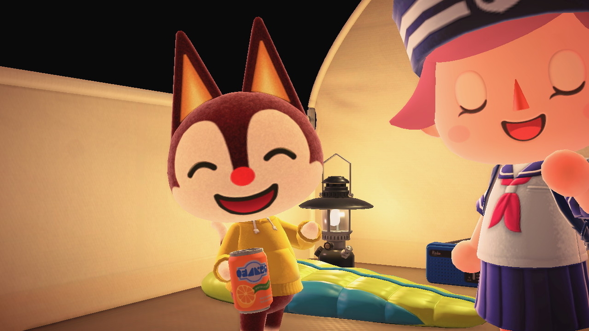 ニンテンドースイッチ あつまれどうぶつの森 キャンプ場 32回目の画像