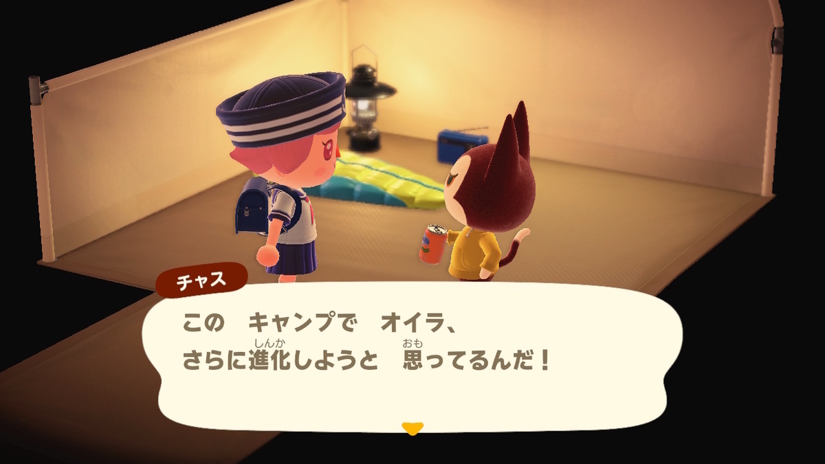 ニンテンドースイッチ あつまれどうぶつの森 キャンプ場 32回目の画像