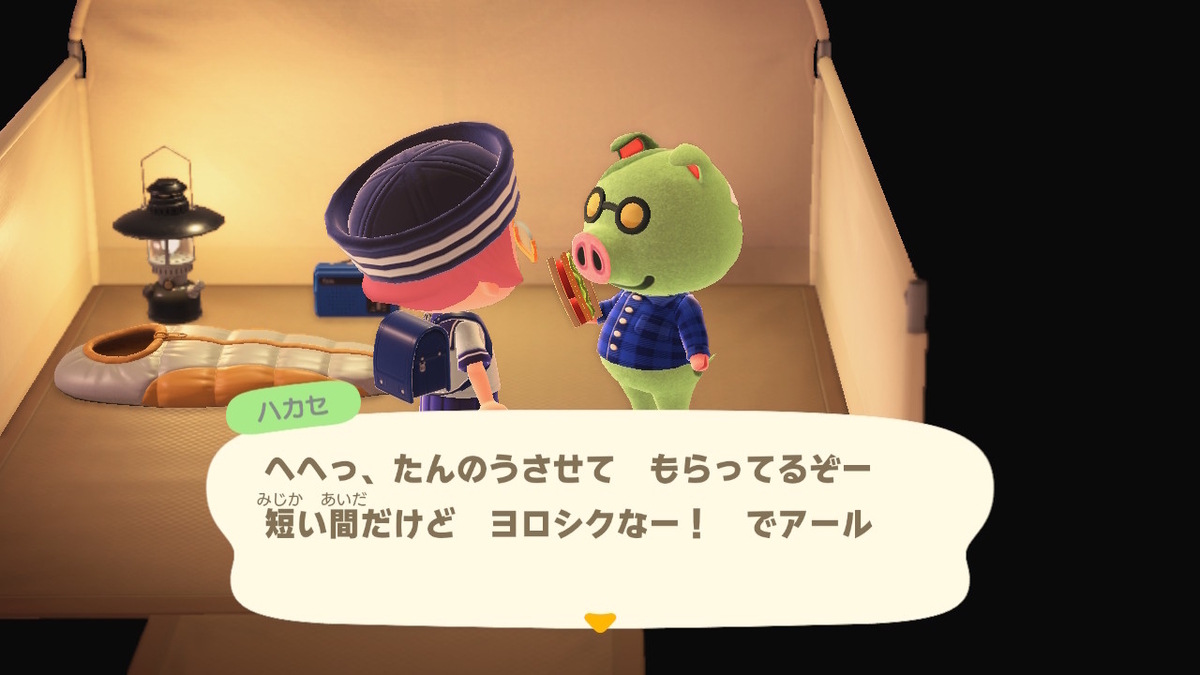 ニンテンドースイッチ あつまれどうぶつの森 キャンプ場 34回目 - ぬー