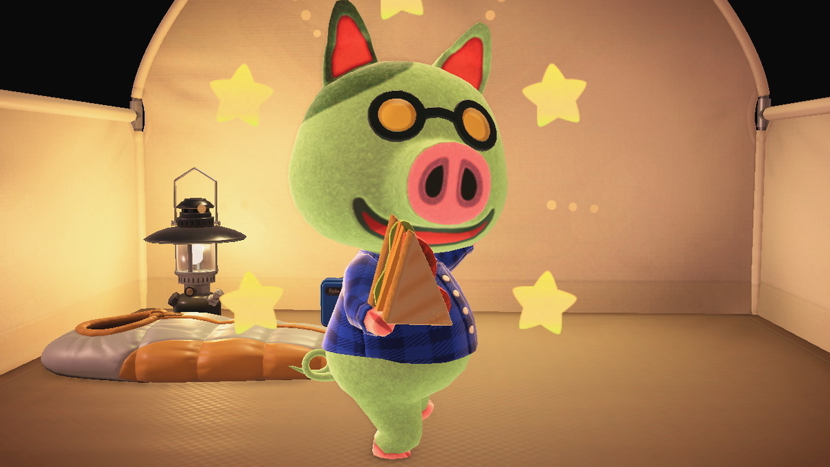 ニンテンドースイッチ あつまれどうぶつの森 キャンプ場 34回目の画像
