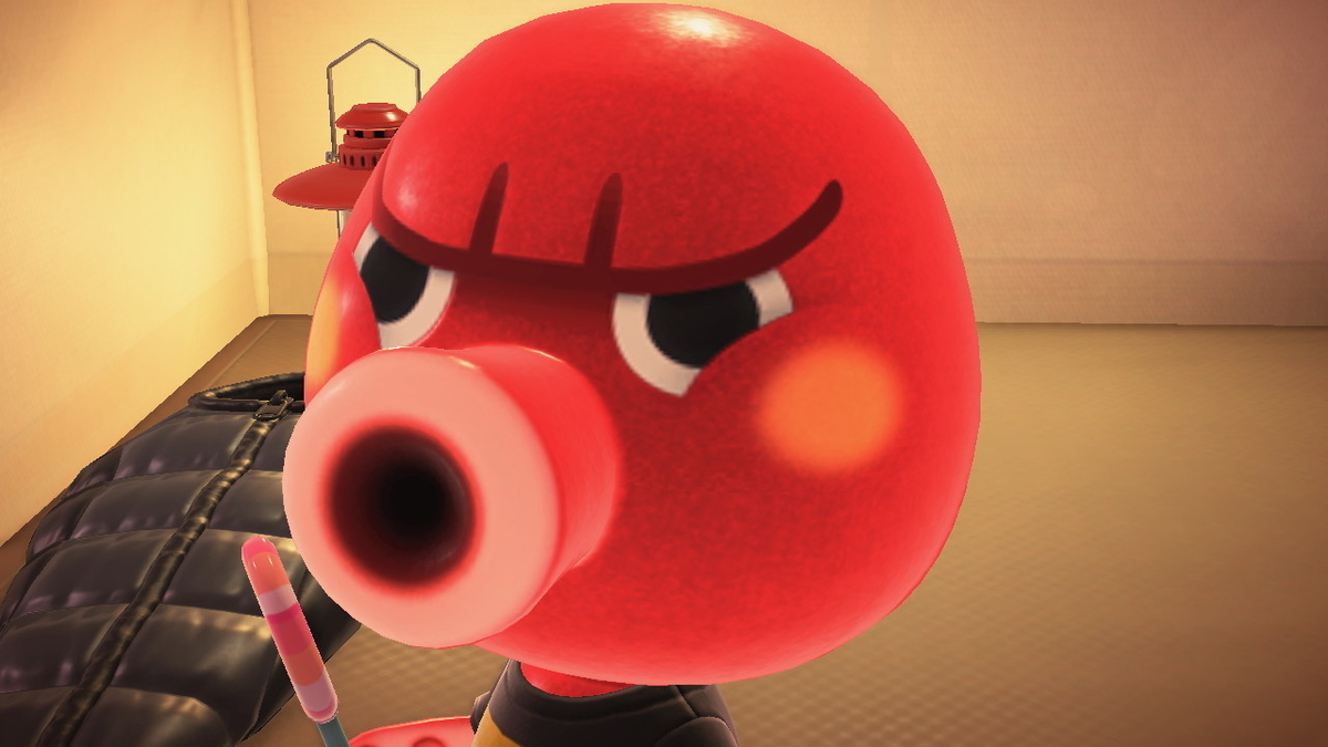 ニンテンドースイッチ あつまれどうぶつの森 キャンプ場 36回目の画像