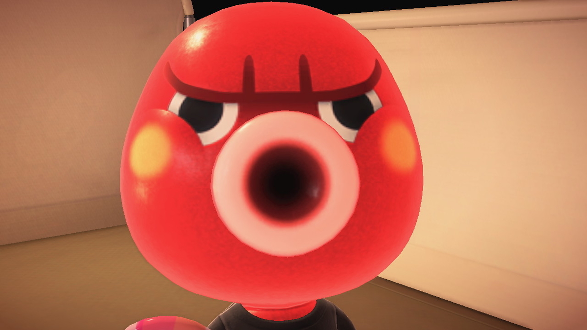 ニンテンドースイッチ あつまれどうぶつの森 キャンプ場 36回目の画像