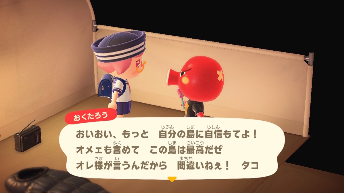 ニンテンドースイッチ あつまれどうぶつの森 キャンプ場 36回目の画像