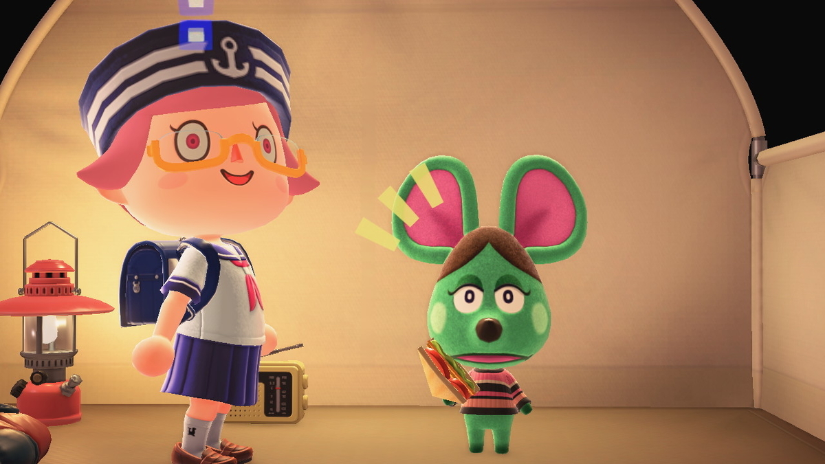 ニンテンドースイッチ あつまれどうぶつの森 キャンプ場 37回目の画像