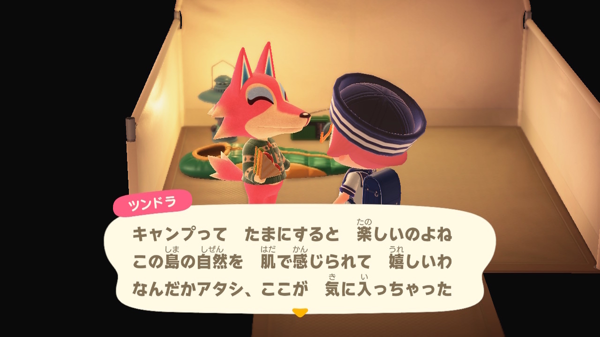 ニンテンドースイッチ あつまれどうぶつの森 キャンプ場 38回目の画像