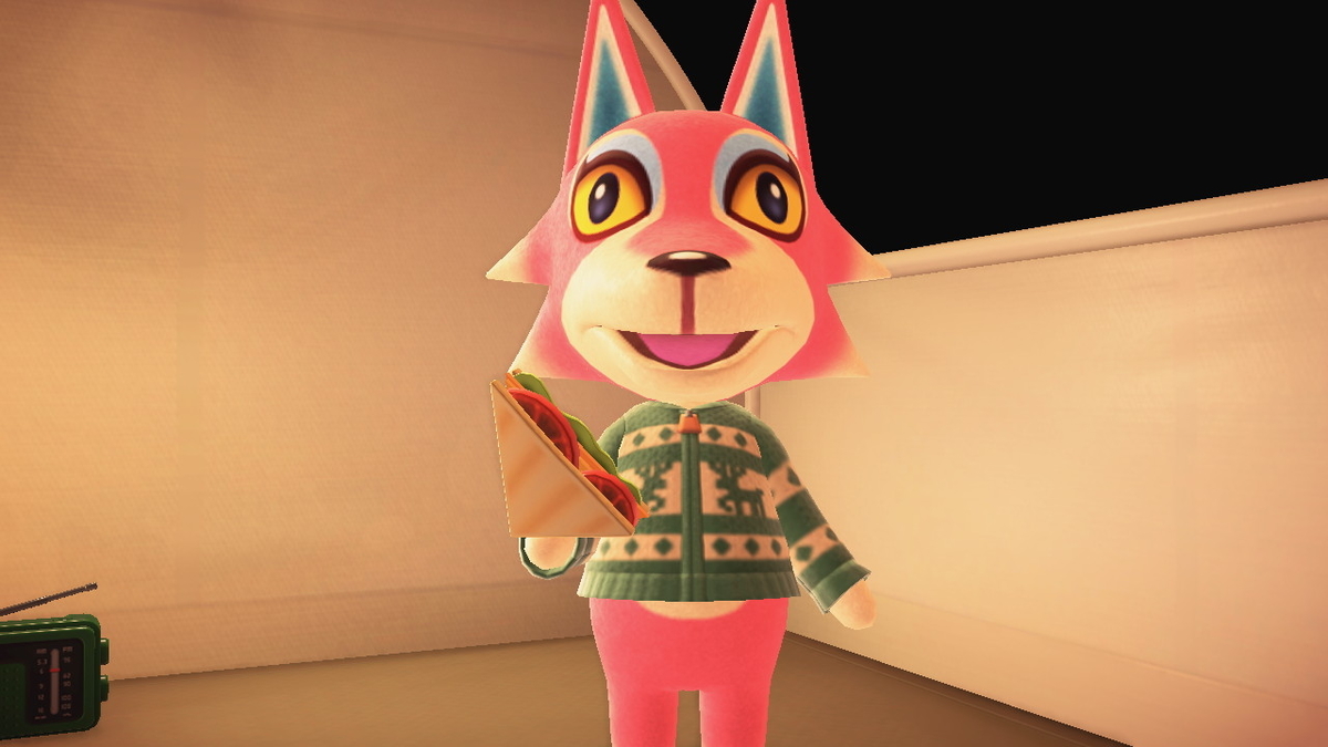 ニンテンドースイッチ あつまれどうぶつの森 キャンプ場 38回目の画像