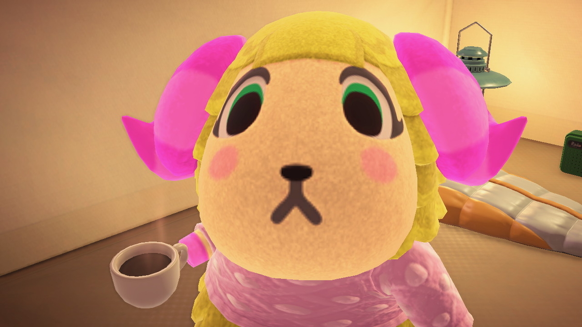 ニンテンドースイッチ あつまれどうぶつの森 キャンプ場 39回目の画像