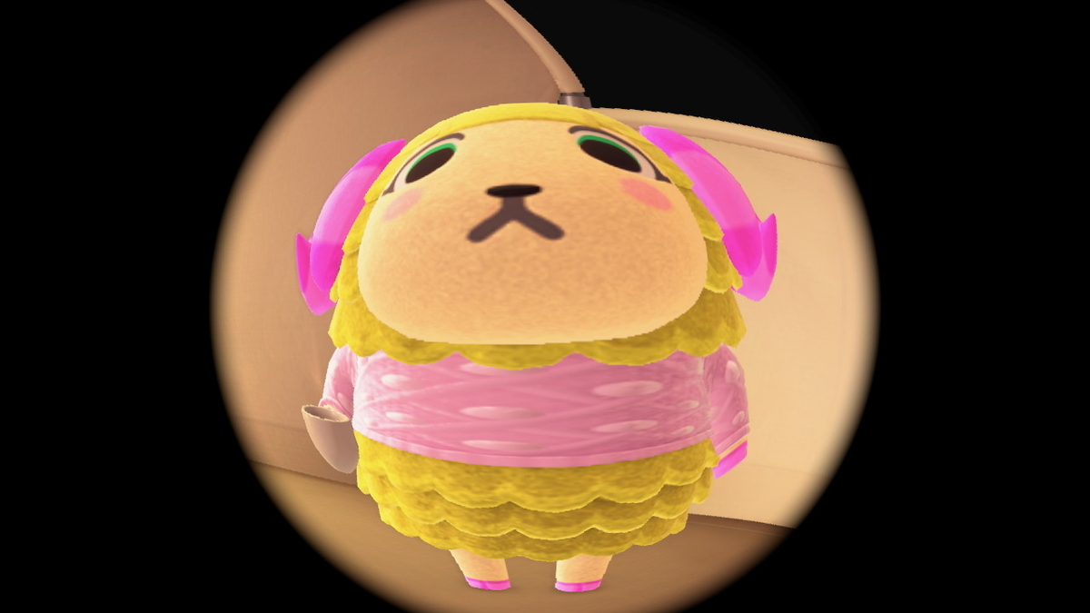 ニンテンドースイッチ あつまれどうぶつの森 キャンプ場 39回目の画像
