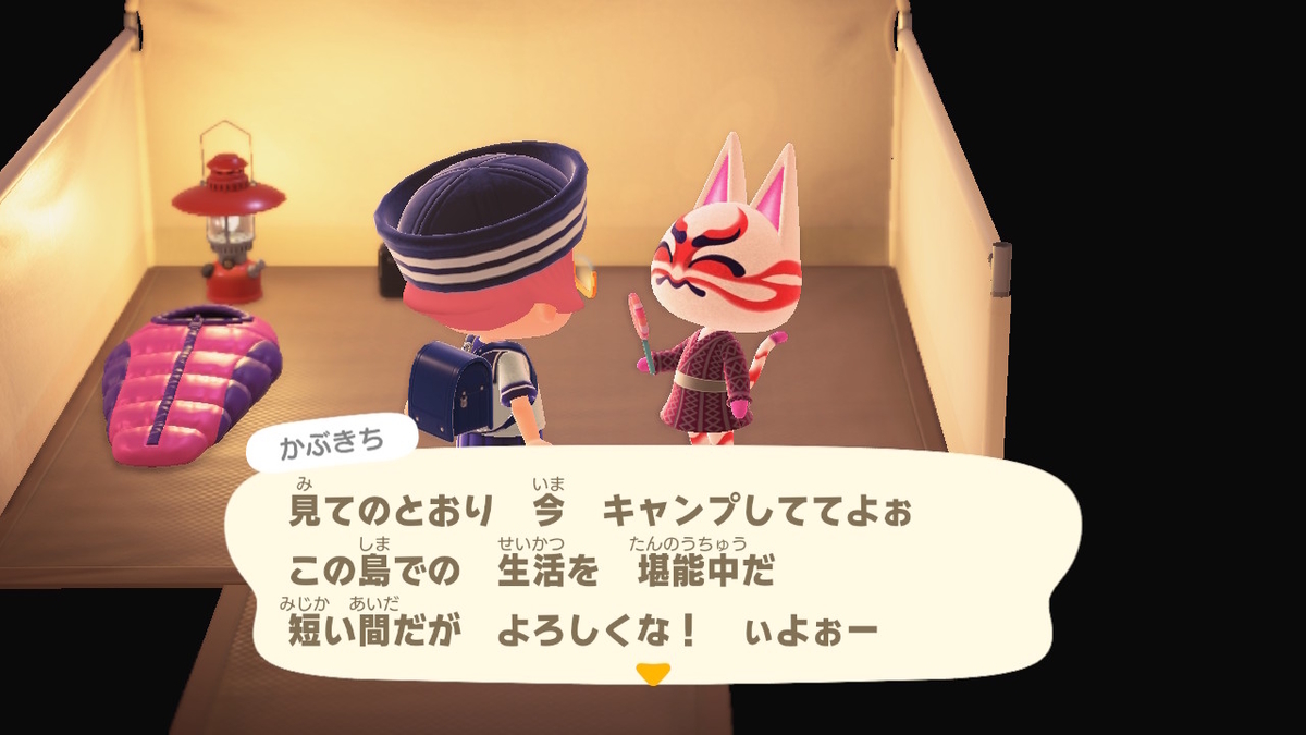 ニンテンドースイッチ あつまれどうぶつの森 キャンプ場 40回目の画像