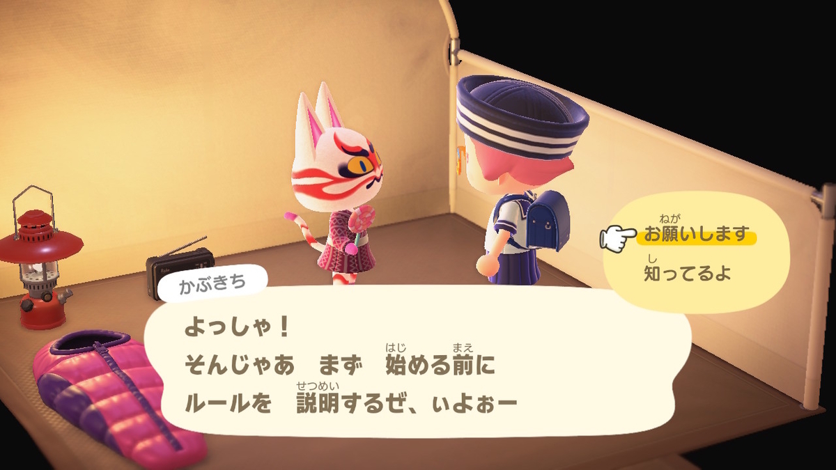 ニンテンドースイッチ あつまれどうぶつの森 キャンプ場 40回目の画像