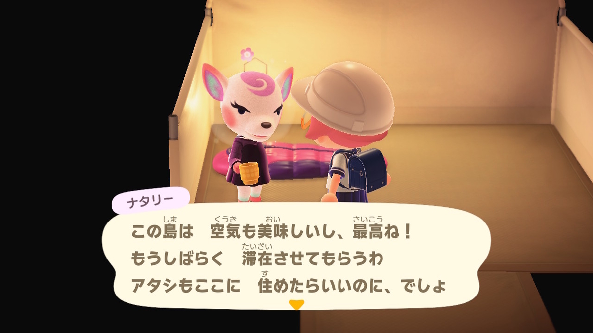 ニンテンドースイッチ あつまれどうぶつの森 キャンプ場 43回目の画像